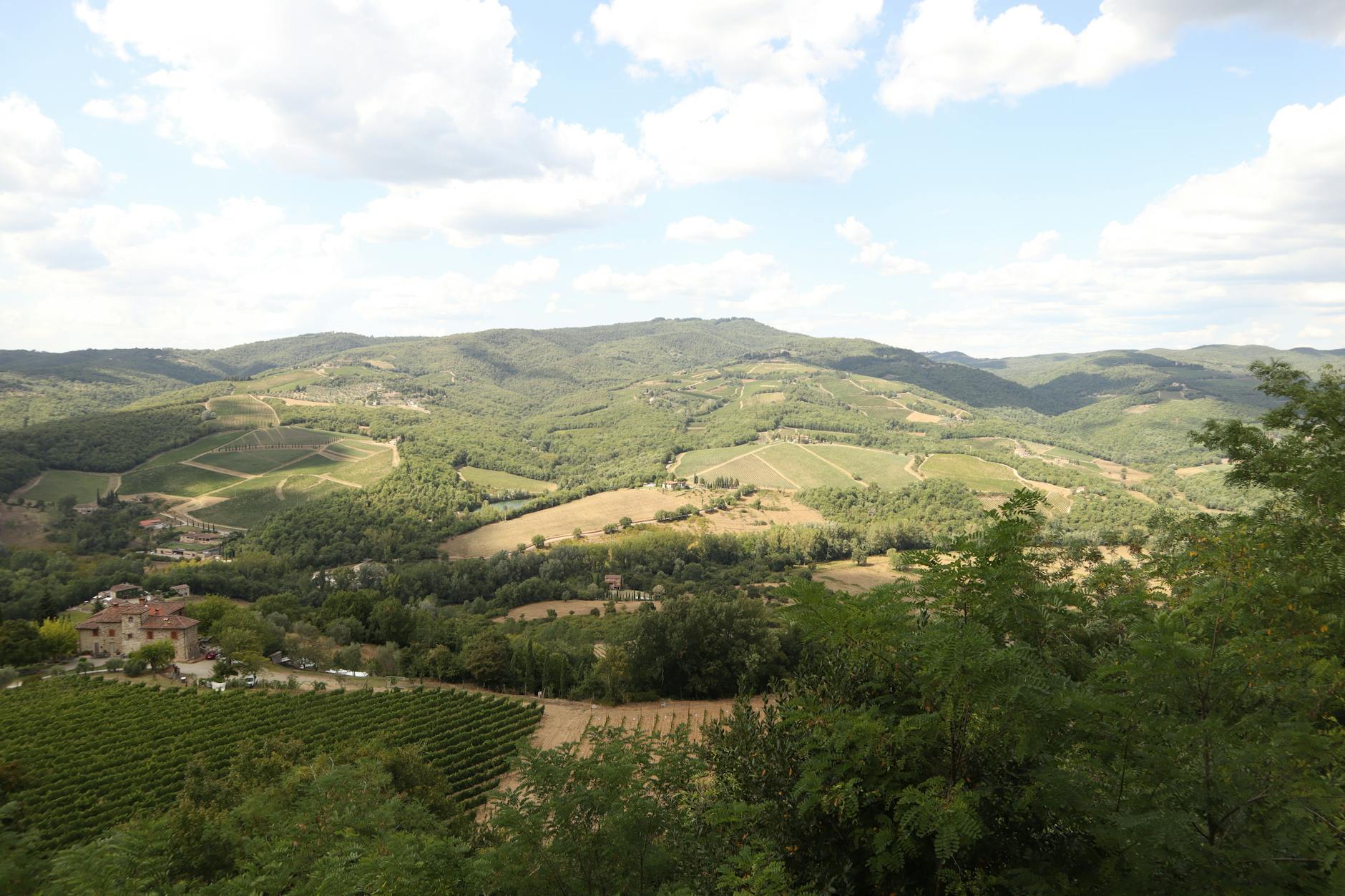 Chianti wine region vineyards rolling hills in Tuscany near Florence