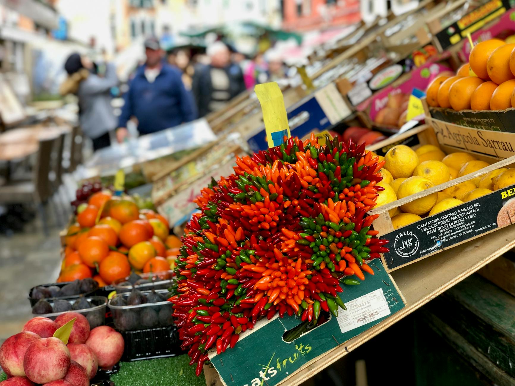 San Lorenzo & San Marco Florence: Staying Near the Markets (2026)