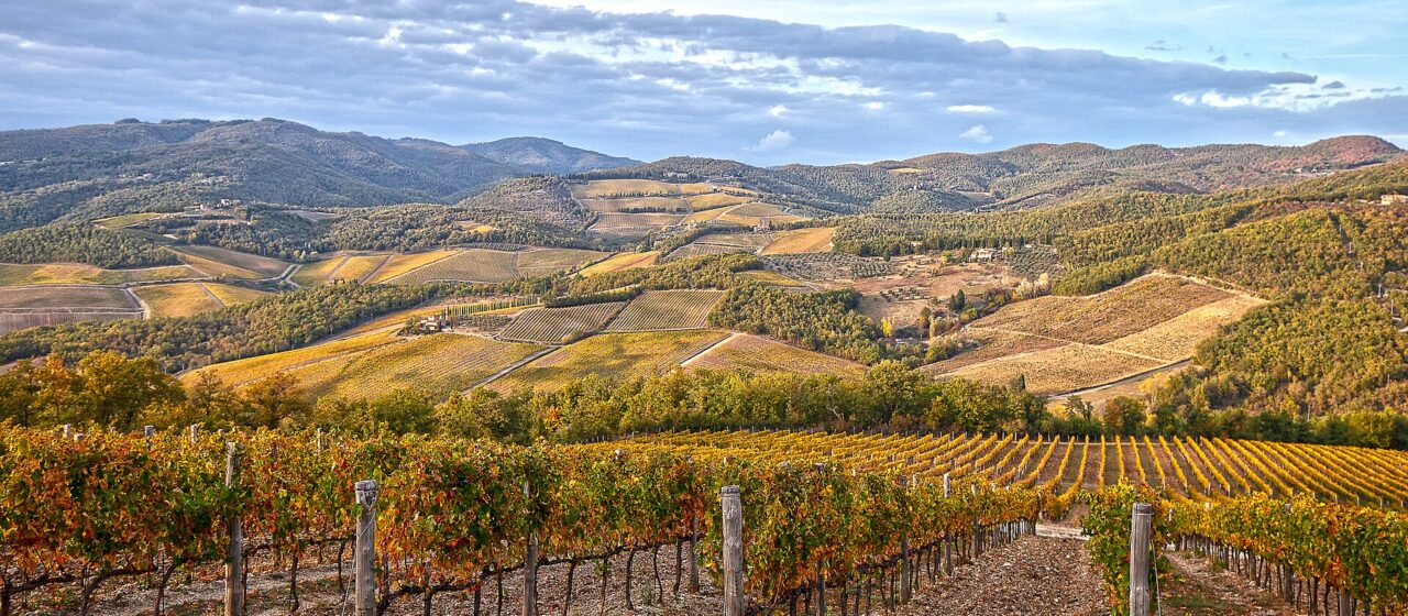 Rows of vines turning gold and rust in autumn on a Chianti hillside, with wooded ridges and vineyards receding into the distance