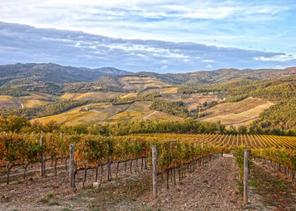 Rows of vines turning gold and rust in autumn on a Chianti hillside, with wooded ridges and vineyards receding into the distance