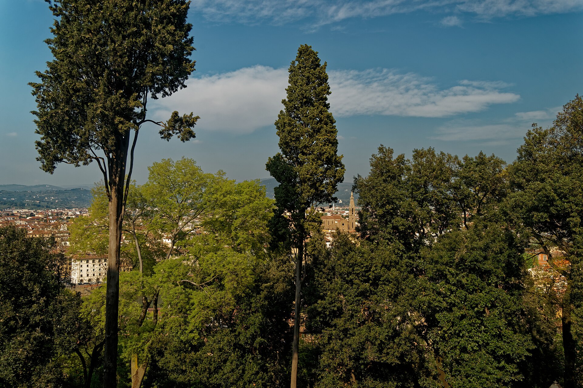 The view from the Bardini garden over the tops of cypresses and broadleaf trees towards Florence rooftops and a church campanile