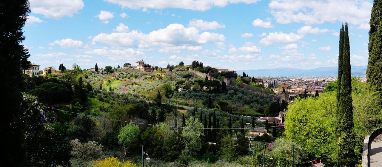 The view from the Rose Garden in Florence over olive terraces and the old city wall towards the hills, with cypresses and a bright cloudy blue sky