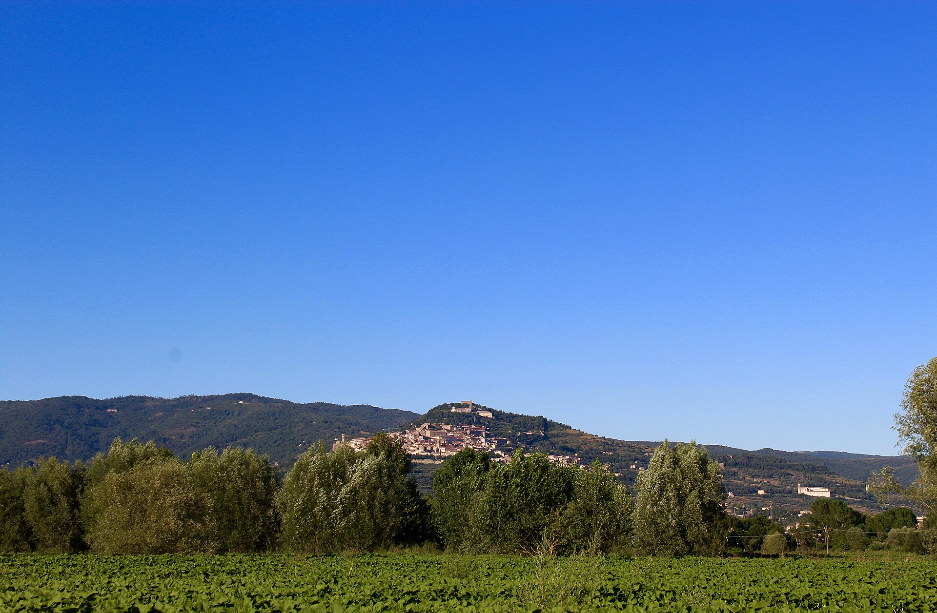 Cortona’s clustered buildings climb a wooded hillside above green fields and trees beneath a clear blue sky.