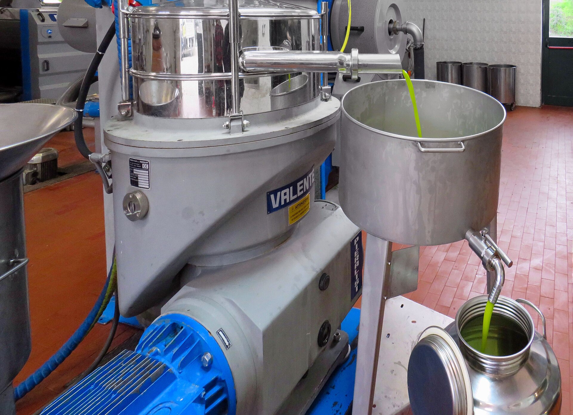 Green olive oil flows from processing machinery through a receiving bowl into a steel storage vessel at a Tuscan mill.