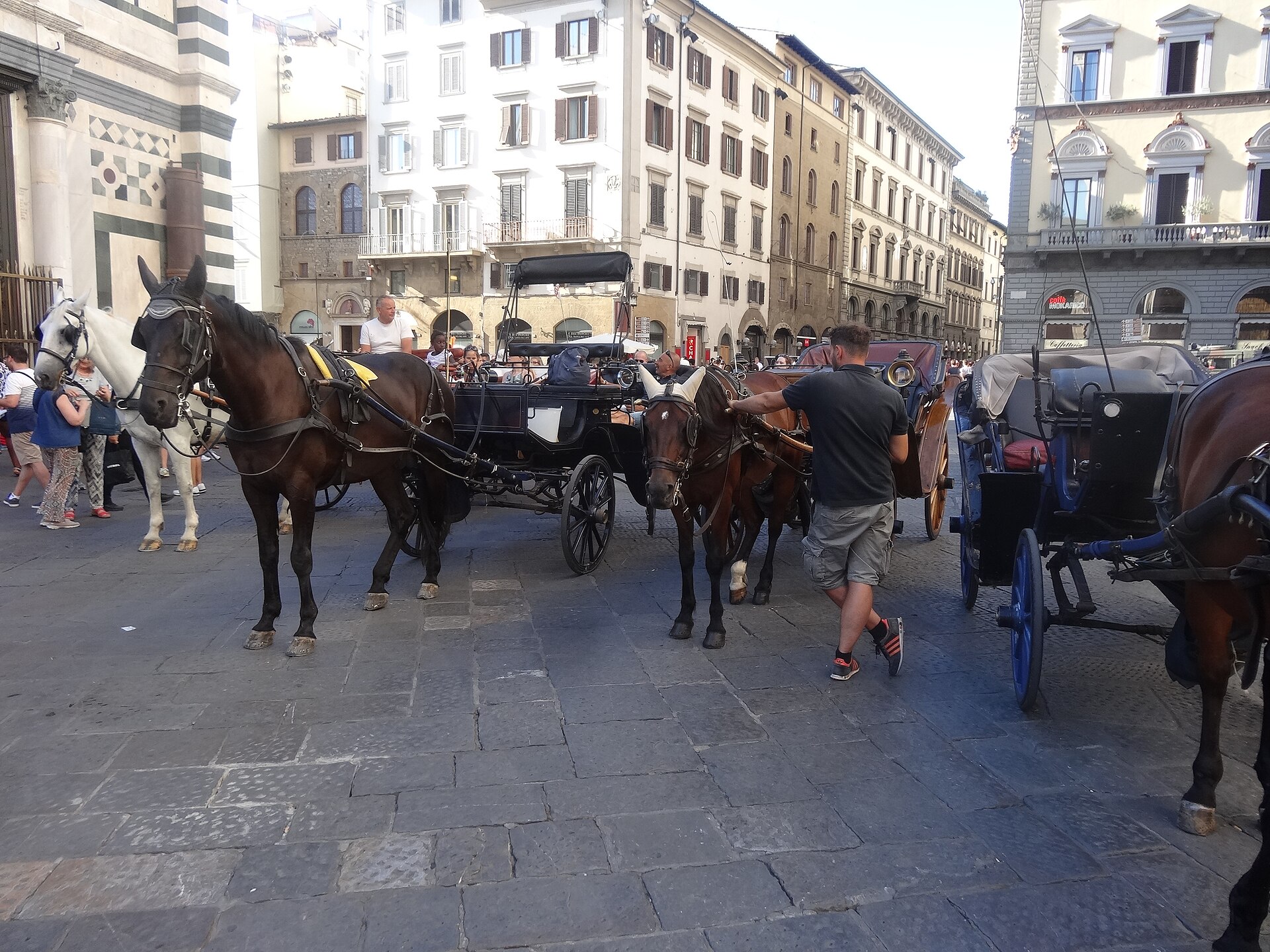 Harnessed horses and passenger carriages stand beside Florence Cathedral on Piazza del Duomo, with drivers and pedestrians nearby.
