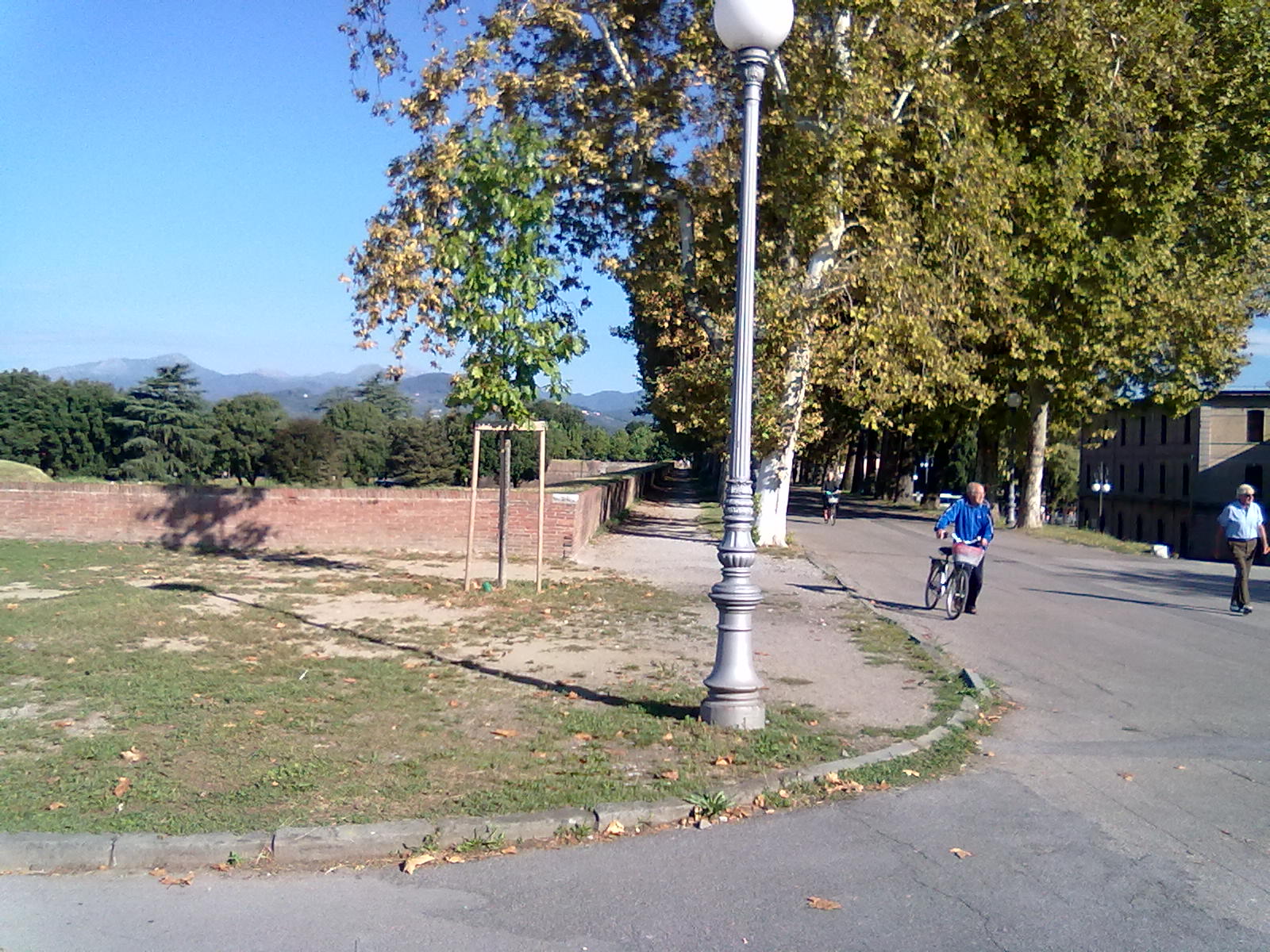 A person with a bicycle follows the broad tree-lined avenue atop Lucca’s walls beside a brick parapet.